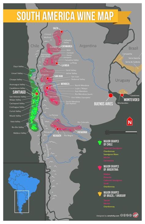 South America Wine Regions| Wine Folly: Wine Region Map, Art Du Vin, Wine Facts, Food Shelf, Wine Folly, South America Map, Wine Map, Wine Knowledge, Wine Education