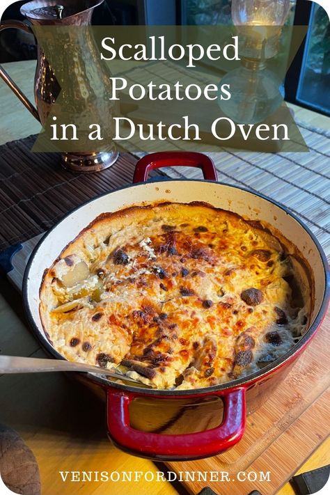 Dutch Oven Scalloped Potatoes Scalloped Potatoes Dutch Oven, Dutch Oven Sides, Dutch Oven Thanksgiving Recipes, Dutch Oven Cheesy Potatoes, Dutch Oven Side Dishes, Ina Garten Dutch Oven Potatoes, Dutch Oven Scalloped Potatoes, Oven Scalloped Potatoes, Oven Cheesy Potatoes