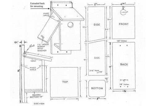 Bird House : 4 Steps (with Pictures) - Instructables Pumpkin Pie Thanksgiving, Orthographic Drawing, Bird House Plans Free, Animal Habitat, Pie Thanksgiving, Bluebird House, Bird House Plans, Auto Cad, Pressure Treated Wood