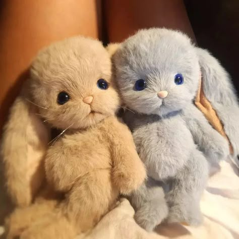 Cute Squishies, Teddy Bear Doll, Teddy Toys, Kawaii Doll, Cute Plushies, Kawaii Plush, Kawaii Plushies, Cute Disney Wallpaper, Cute Backpacks