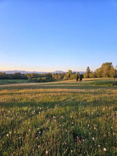 Golden Hour    #vsco #aesthetic #meadow #goldenhour #sunset #mountains Golden Hour Mountains, Bau Aesthetic, Aesthetic Meadow, Aspen Summer, Meadow Aesthetic, Meadow Mountain, Sunset Meadow, Golden Meadow, Sunset Mountains