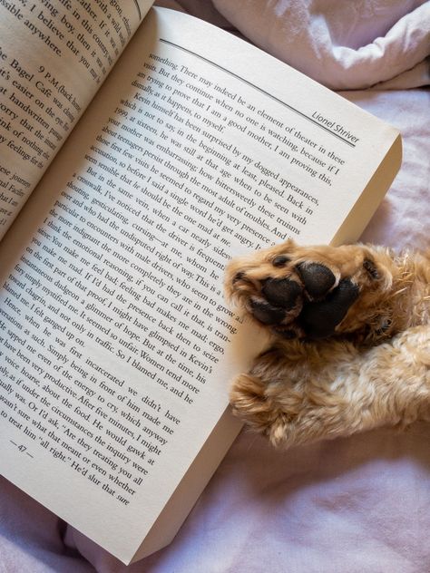 Book, Books, Book Lover, Book Aesthetic, Dog, Aesthetic, Book Inspiration, Dog Lover Dog Lover Aesthetic, Dogs Reading, Dog And Book Aesthetic, Reading With Dog Aesthetic, Dogs And Books Aesthetic, Book And Cat Aesthetic, Dogs And Books, Cat Books Aesthetic, Dog Reading Book