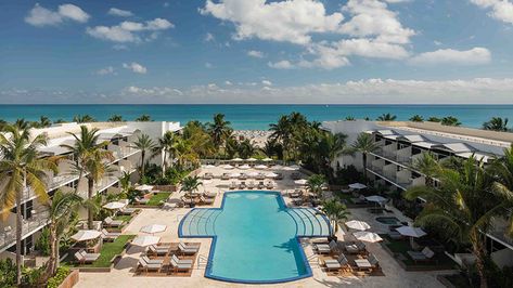 5 Stylish Hotels, According to Vogue | Chase Travel Ritz Carlton South Beach Miami, Best Hotels In Miami, Miami Resort, Fontainebleau Miami Beach, Fontainebleau Miami, Miami Beach Hotels, South Beach Hotels, Miami Hotels, Florida Resorts