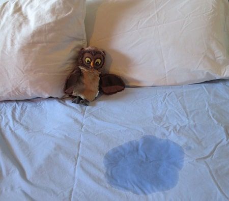 Bed-wetting in children: An evidence-based guide to causes and treatments Paradise Rot, Wet The Bed, Blur Picture, Oppositional Defiant Disorder, Laying In Bed, Sleep Time, Better Parent, Behavior Problems, Boy Pictures