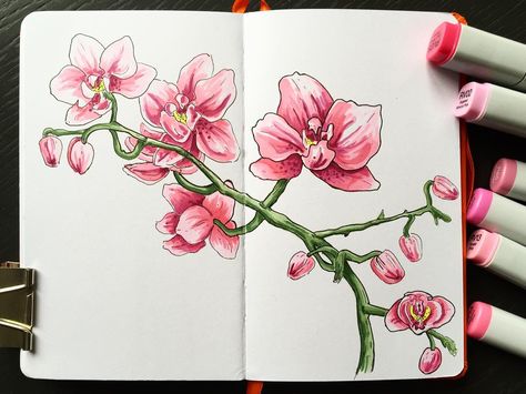 Little pink orchid Marker Drawing Flowers, Orchid Design Drawing, Orchid Aesthetic Drawing, Orchid Doodle, Orchid Illustration Design, Pink Orchid Drawing, Orchid Drawing, Ink Drawings, Copic Drawings