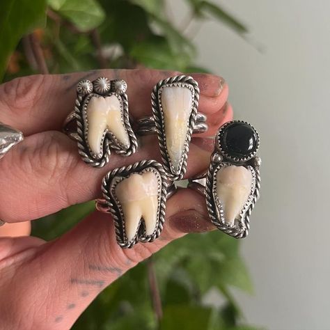 Teeth Ring, Tooth Ring Jewelry, Wisdom Teeth Jewelry, Tooth Jewelry, Bone Rings, Tooth Jewellery, Deer Teeth Jewelry, Elk Tooth Rings, Wisdom Tooth Jewelry