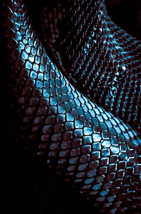 Black Snake Aesthetic, Snake Scales Aesthetic, Black Scales Aesthetic, Snake Skin Wallpaper, Snake Asthetic Picture, Sea Serpent Aesthetic, Snake Skin Aesthetic, Black Serpent, Serpent Aesthetic