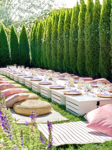 Glam Picnic, Bridal Picnic, Shower Goals, Picnic Event, Birthday Setup, Planning Party, Indoor Picnic, Picnic Birthday Party, Luxury Picnic