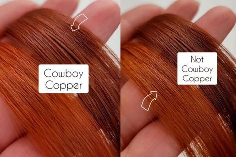 Cowboy Copper Hair Color How To Get Cowboy Copper Hair, Red Copper Pixie Hair, Cowboy Copper Formula Shades Eq, Diy Cowboy Copper Hair, Cowboy Copper Hair Color Formula, Cowboy Copper Hair Formula Wella, Cowboy Cooper Short Hair, What To Wear With Copper Hair Outfit, Red Copper Hair Color Formulas