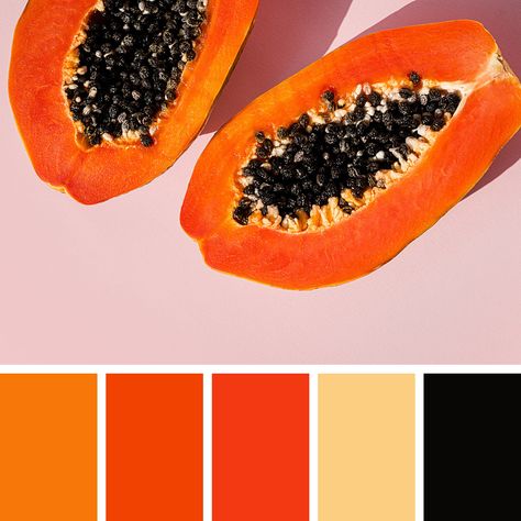 Papaya Colour Palette, Papaya Color Palette, Color Pallet Ideas, Papaya Color, Paint Your House, Airbnb Ideas, Food Inspired, Pallet Ideas, Colorful Furniture