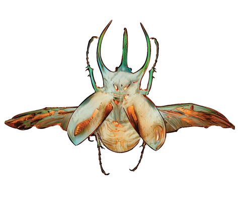 Cool Atlas Beetle with wings extended. Copyright Dreaming Beetle LLC Beetle Wings Drawing, Beetle With Wings Tattoo, Beetle With Wings, Beetle With Wings Out, Atlas Beetle, Hercules Beetle Flying, Scarab Beetle Wings Open, Beetle Wings Open, Animal Crossing Pc