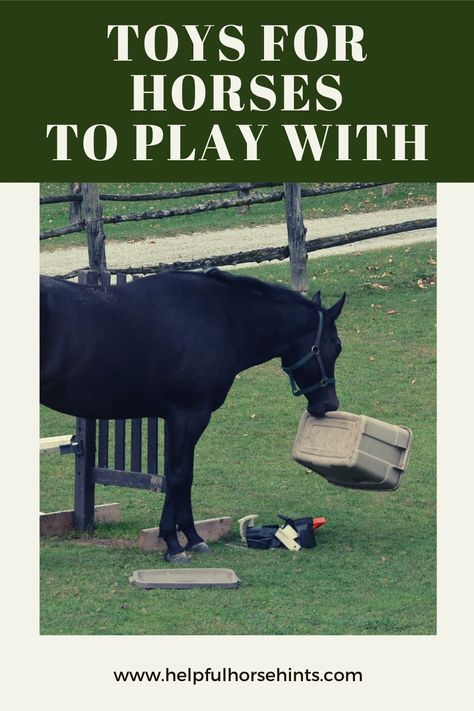 Bored Horse Toys Diy, Homemade Horse Toys, Horse Enrichment Ideas Diy, Horse Pasture Enrichment, Fun Things To Do With Horses, Diy Toys For Horses, Diy Horse Enrichment, Diy Horse Toys For Horses, Horse Toys Diy