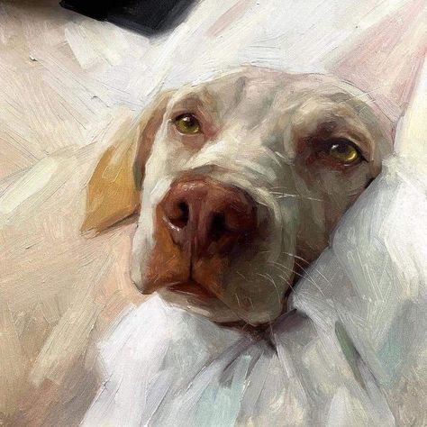 Jennifer Gennari, Pet Portrait Paintings, Dog Portraits Painting, Labrador Art, Dog Portraits Art, Animal Portraits Art, Portraits Art, Dog Painting, Pet Art