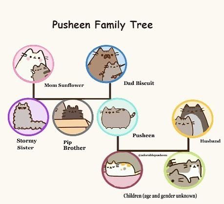 Pusheen Family, Pusheen Valentines, Pusheen Stormy, Pusheen Collection, Pusheen Love, Pusheen Stickers, Doctor Whooves, Pusheen Cute, Whatsapp Wallpaper Cute