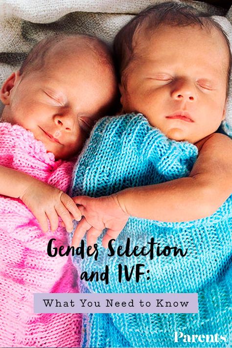 Embryo Gender Reveal, Ivf Must Haves, Ivf Photoshoot, Ivf Organization, Fet Ivf, Ivf Baby Announcement, Ivf Announcement, Ivf Calendar, Ivf Timeline