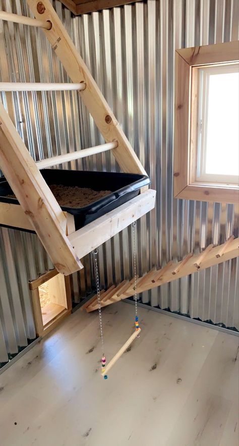 Chicken House Interior, Diy Chicken Coop Inside, Chicken Coop Playground Ideas, Small Chicken Coop Interior Ideas, Chicken Roost Diy, Small Coop Interior, Chicken Run Interior Ideas, Easy Chicken Roost Ideas, Chicken Coop Perch Ideas Diy