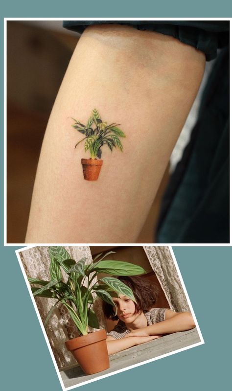 Colorful tiny floral tattos Aglaonema Tattoo, Watercolor Plant Tattoo, Abstract Tree Painting, Scar Tattoo, Taurus Tattoos, Plant Tattoo, Tattoo Cover-up, Professional Tattoo, Half Sleeve Tattoo