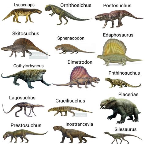 Dinosaur Information, Giant Lizard, Types Of Dinosaurs, Prehistoric Animals Dinosaurs, Dinosaur Facts, Walking With Dinosaurs, Prehistoric Wildlife, Prehistoric Dinosaurs, Dinosaur Posters