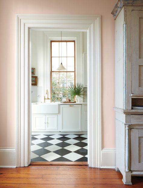 Tour Chelsea Handegan's Graciously Restored Charleston House – Frederic Magazine Charleston Homes Interiors, Charleston Interior Design, Frederic Magazine, Charleston House, Charleston Homes, Room Screen, Good House, Pink Walls, Charleston Sc