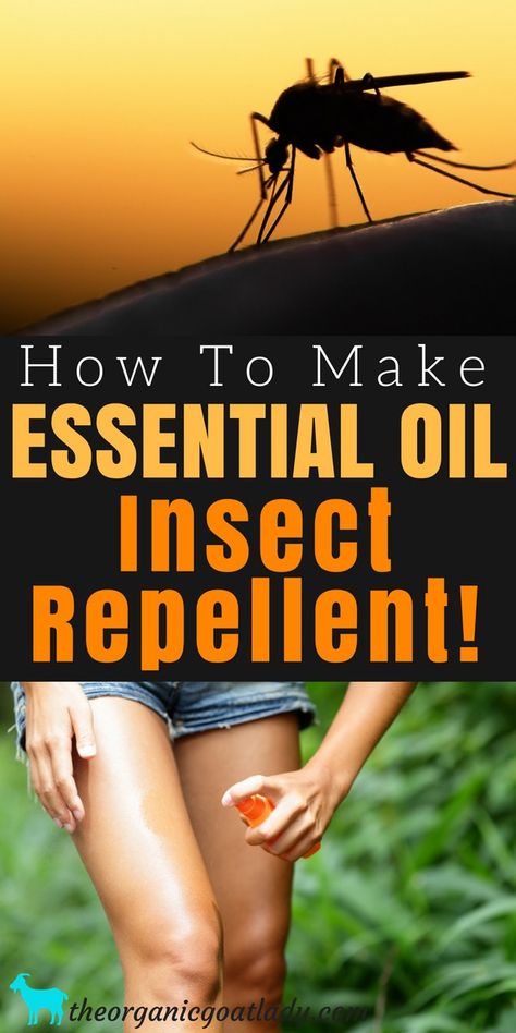 Make Your Own Essential Oil Mosquito Repellent! - The Organic Goat Lady Best Mosquito Repellent Outdoors, Home Made Mosquito Repellent, Organic Mosquito Repellent, Essential Oils For Mosquitoes, Essential Oil Mosquito Repellent, Mosquito Repellent Essential Oils, Insect Repellent Essential Oils, Healing Salve Recipe, Mosquito Repellent Homemade