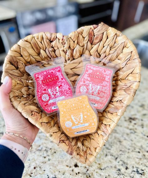 Scentsy Valentines 2024, Scentsy Bar, Apricot Blossom, Scentsy Consultant Ideas, Scentsy Wax Bars, Scentsy Scent, Scentsy Products, Red Currant, Scentsy Bars