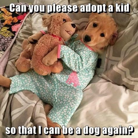 Puppies In Pajamas, Super Cute Puppies, Cute Animals Puppies, Very Cute Dogs, Really Cute Dogs, Cute Dog Pictures, Baby Animals Pictures, Cute Little Puppies