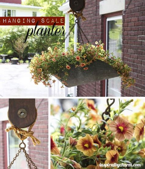 This is a simply #beautiful #diy idea! :) Upcycled Planter, Planter Project, Hanging Scale, Weekly Inspiration, Funky Junk Interiors, Unique Planter, Sunrooms, Garden Containers, Vintage Planters