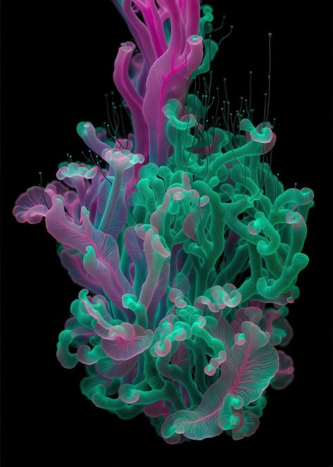 Ink dropped in water Marine Organism, Underwater Art, Colossal Art, The Reef, Modern Crafts, Art Blog, 3d Design, Shades Of Green, Color Design