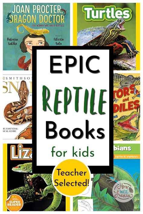 Epic Books about Reptiles for Kids! Reptile Activities For Kids, Reptiles For Kids, Reptile Activities, Reptile Unit Study, Reptiles Activities, Amphibians Activities, Reptile Crafts, Homeschool Themes, Reading Week