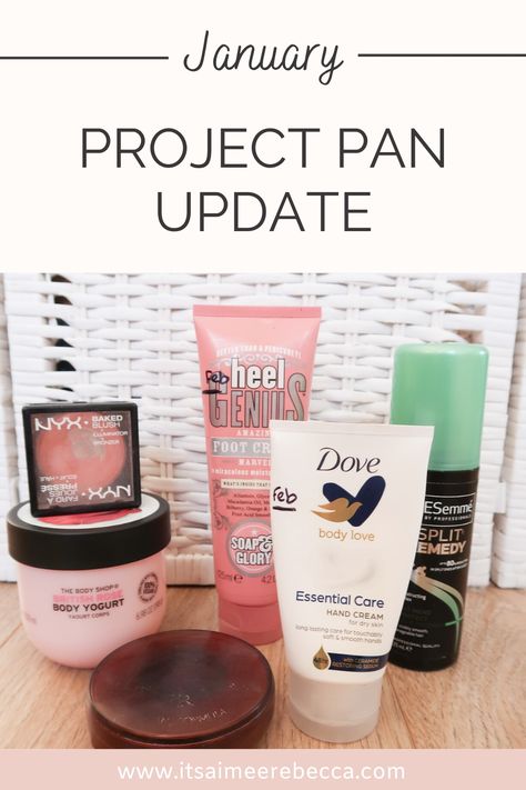 Project Pan Makeup Challenge, Project Pan Makeup, Pan Makeup, Nyx Blush, Big Makeup, No Buy, British Rose, Makeup Challenge, Cream For Dry Skin