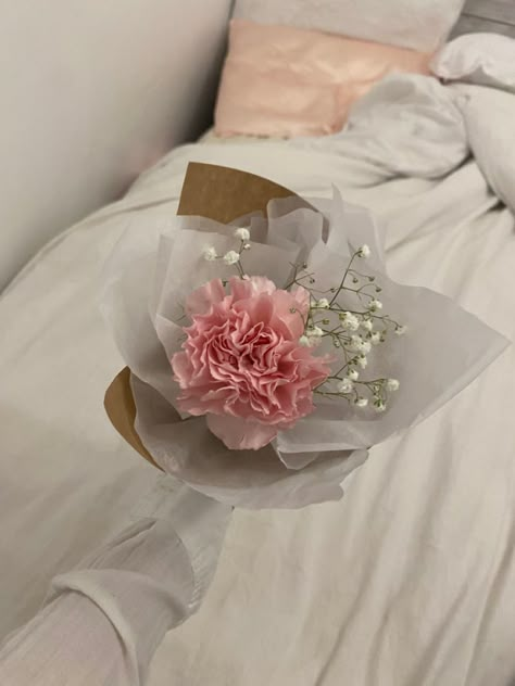 Pink Carnations, Flowers, Pink, White