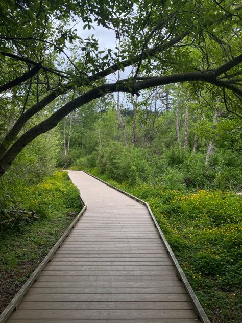 Nature, pathway, wildflowers, scenery, cottage core, peaceful scenery, wooden path, forest, nature walk Wooden Pathways Walkways, Wooden Pathways, Natural Paths, Park Pathway, Path Architecture, Forest Walkway, Path Way, Park Pathways Design, Forest Walkway Design