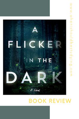 A Flicker in the Dark by Stacy Willingham Book Review Stacy Willingham, Flicker In The Dark, A Stolen Life, January Books, K Board, 20 Year Anniversary, Night Book, Suspense Books, James Patterson