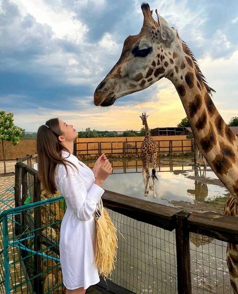 Zoo Outfit, Zoo Pictures, Thailand Pictures, Giraffe Pictures, Zoo Photos, Friendship Photoshoot, Girls Group, Stylish Photo Pose, Trik Fotografi