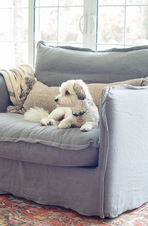 Two Oversized Chairs Living Rooms, Big Lounge Chair, Oversized Armchair Living Room, Six Penny Chair, Six Penny, Oversized Chair And Ottoman Overstock, Oversized Chair Living Room West Elm, Comfy Armchair Oversized Chair, Six Penny Sofa