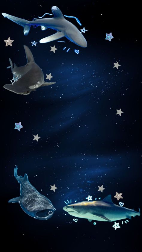 #shark #sharks #blue #darkblue #star #stars #space #ocean #aesthetic #sharkaesthetic #:] #:D Shark Wallpaper Iphone, Shark Background, Space Ocean, Shark Pictures, Ocean Room, Ocean Backgrounds, Stars Space, Shark Art, Ocean Aesthetic