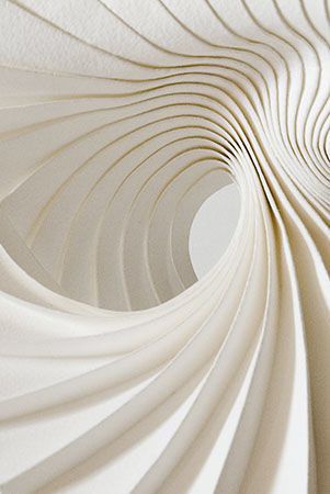 Plis courbes profondeur géométrie / RICHARD SWEENEY Richard Sweeney, Architecture Origami, Art Texture, Curved Lines, Kirigami, Shades Of White, Paper Sculpture, Color Textures, Photo Backgrounds