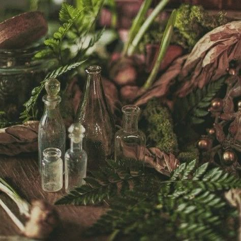 Magic Nature Aesthetic, Forest Magic Aesthetic, D D Aesthetic, Plant Powers Aesthetic, Irish Folklore Aesthetic, Swampcore Aesthetic, Plant Magic Aesthetic, Earth Core Aesthetic, Nature Magic Aesthetic