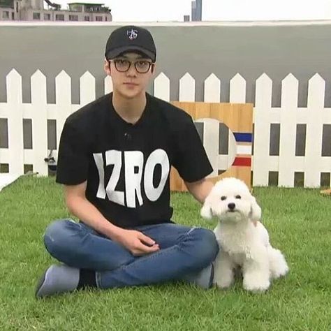 Sehun with his dog vivi during the v app EXOmentary Sehun Vivi, Exo Funny, Great Memes, Chanyeol And Do, Exo Memes, Kpop Exo, Exo Sehun, Oh Sehun, Exo K