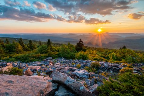 Spruce Knob West Virginia, West Virginia Wallpaper Iphone, West Virginia Wallpaper, West Virginia Photography, West Virginia Road Trip Map, Almost Heaven West Virginia, Monongahela National Forest, Milky Way Photography, 2024 Manifestation