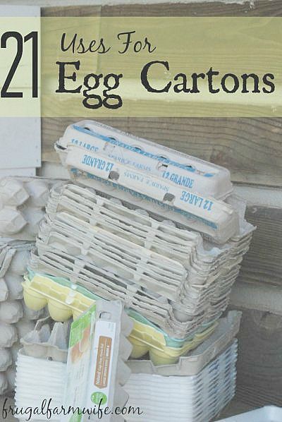 Try these 21 adorable egg carton uses for all those leftover cartons your family has lying around! I love them all but #5 might be my favorite! Egg Carton Uses, Micro Greens, Chicken Owner, Egg Container, Farm Wife, Eat A Lot, Egg Cartons, Egg Crates, Egg Carton Crafts