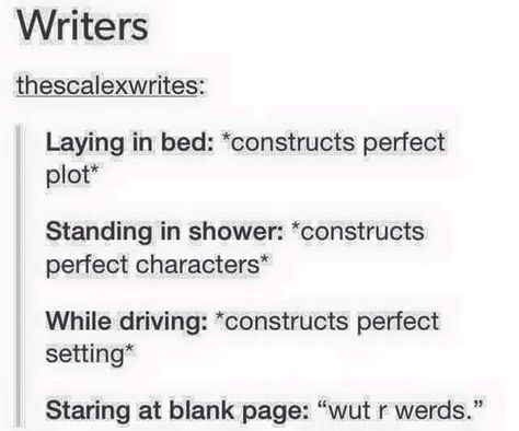 Writer Problems, Writing Problems, Writer Memes, Writer Humor, Writing Humor, Writing Memes, A Writer's Life, I Am A Writer, Book Writing Tips