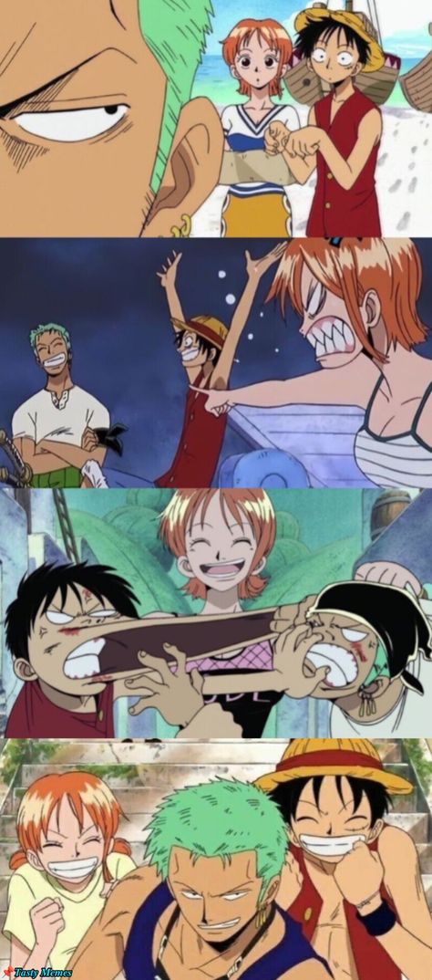 Shaky And Rayleigh, Luffy X Nami X Zoro, Nami X Zoro Fanart, One Piece Zoro X Nami, Nami Pre Time Skip, One Piece Trio, Luffy X Yn, Garp Onepiece, Nami X Zoro