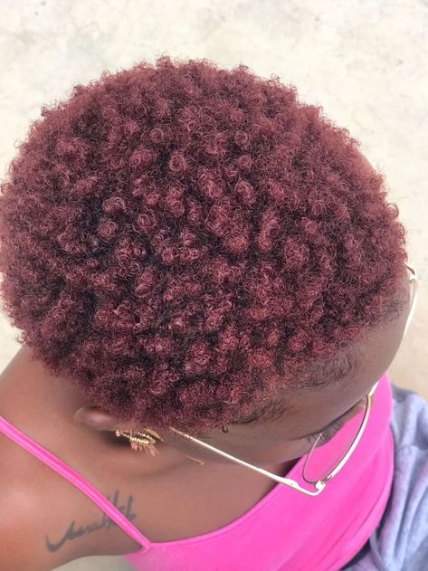 Short Twa Hairstyles 4c Hair Color, Dye Colours For Dark Skin Short Hair, Dyed Short Natural Hair Black Women, Hair Dye Ideas For Dark Skin, Dyed Natural Hair For Black Women Dark Skin, Dyed 4c Natural Hair, Dyed Natural Hair Dark Skin, Hair Dye For Dark Skin, Dyed Short Natural Hair