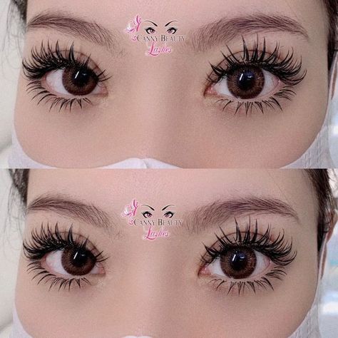 Volume Anime Lash Extensions, Sunflower Lash Extensions, Canny Beauty Lashes, Anime Set Lashes, Sunflower Lashes, Top And Bottom Lash Extensions, Anime Eyelash Extensions, Anime Lash Extensions, Anime Sunflower