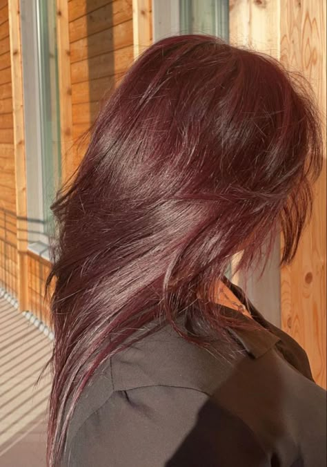 Tinted Red Hair, Pbj Hair, Hair In Sunlight, Red Tint Hair, Cola Hair, Pelo Color Vino, Burgundy Red Hair, Wine Hair Color, Dark Red Hair Color