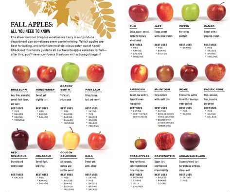 apples Apple Chart, Best Apples For Baking, Fall Eats, Apple Types, Food Infographic, Apple Varieties, Healthy Menu, Food Charts, Fall Apples