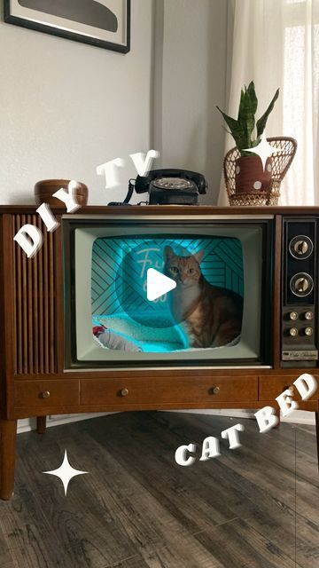 Adriana Camacho on Instagram: "Exactly 1 year ago I created my favorite DIY project!

A cat bed from an old 1970s tube tv 📺 It went viral and inspired so many others to recreate their own 🫶🏼 
Update: Dorito slept in it everyday for the 1st 4 months, now he naps in it once in a blue moon 🌙 However, I still love looking at it everytime I come into my house.
Would you make one for your kitty? 
@offerup 
#cat #tvcatbed #diy #orangecat #project #christmas #tutorial" Tv Cat Bed, Christmas Tutorial, Vintage Happy New Year, Diy Cat Bed, Household Help, Once In A Blue Moon, 1 Year Ago, Online Group, Diy Cat