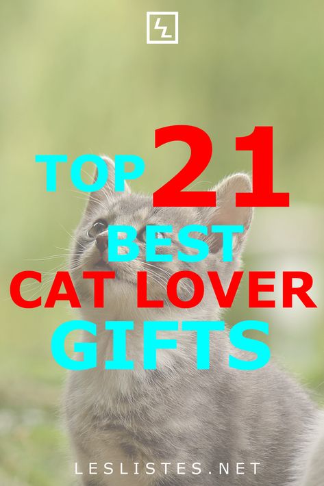 Cat lovers are a very particular kind of people. With that in mind, check out the top 21 gifts for the cat lover in your family. #cat #catlovers Cat Gifts For People, Yankee Swap Gift, Cat Lovers Gifts, Ragdoll Kittens For Sale, Homemade Gifts For Boyfriend, Cat Portrait Painting, Colorful Hairstyles, Inexpensive Christmas Gifts, Inexpensive Christmas