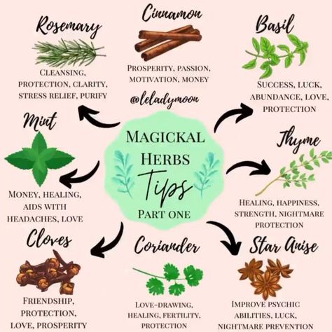 Herb Meanings, Herbs For Protection, Thyme Herb, Magickal Herbs, Witch Herbs, Witch Spirituality, Magic Herbs, Essential Oils Herbs, Magical Herbs